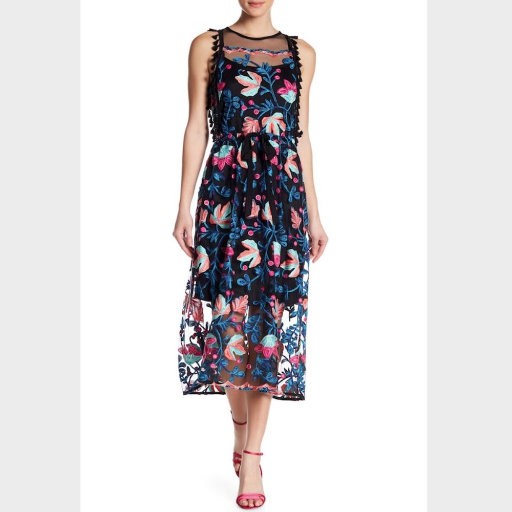 Embroidered Eva Franco Dress - 2 - Anthropologie